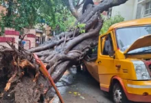 Photo of मुंबई के चेंबूर में एक स्कूल बस पर पेड़ गिरने से एक छात्र की मौत और चार घायल