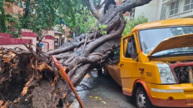 Photo of मुंबई के चेंबूर में एक स्कूल बस पर पेड़ गिरने से एक छात्र की मौत और चार घायल