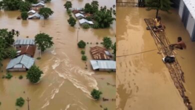 Photo of असम के गोलाघाट में बाढ़ से मची भारी तबाही, 52 हजार परिवार बेघर, विशेष आर्थिक पैकेज की मांग