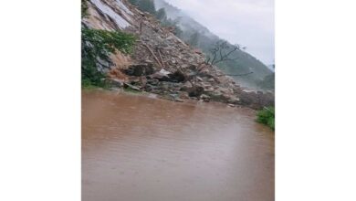 Photo of चमोली में बादरीनाथ हाईवे हेलांग के पास मलबे से अवरुद्ध, यातायात ठप