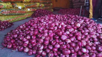 Photo of खुदरा कीमतों में 59% की वृद्धि के बीच, ‘कांदा एक्सप्रेस’ आज 800 मीट्रिक टन प्याज लेकर दिल्ली पहुंचेगी
