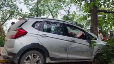 Photo of सीतापुर में कार के पेड़ से टकराने से दो भाइयों की मौत और 2 घायल , परिवार वाराणसी से नैमिषारण्य आया था