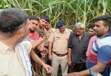 Photo of बिजनौर में गुलदार का खौफनाक आतंक: घर के बाहर से महिला को घसीट ले गया, गन्ने के खेत में मिला क्षत-विक्षत शव; ग्रामीणों का प्रदर्शन