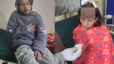 Photo of चमोली के ज्योतिर्मठ में भालू का खौफनाक आतंक: गोशाला में गाय को उतारा मौत के घाट, बचाने आए चार लोगों पर किया जानलेवा हमला